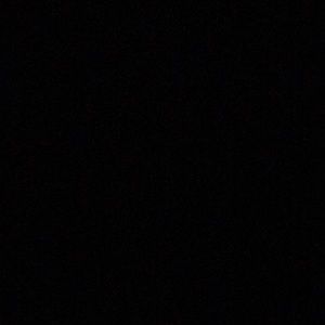 Meet your Posher, Priscilla